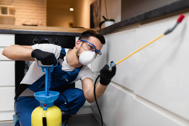 Best Emergency Pest Control  in Millvale, PA