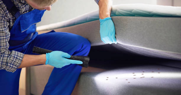 Best Pest Control Near Me  in Millvale, PA