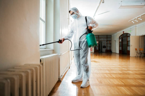 Best Residential Pest Control  in Millvale, PA