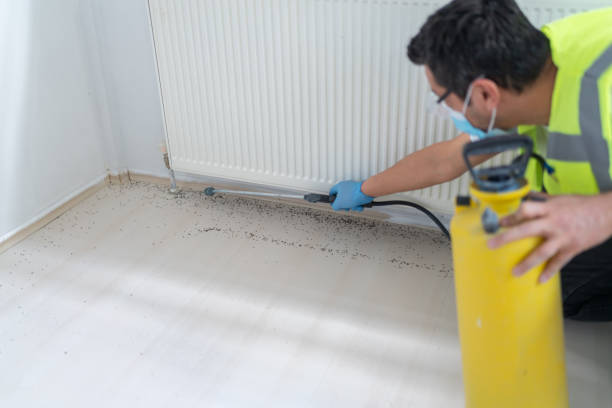 Best Exterminator Services  in Millvale, PA