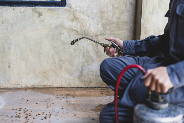 Best Pest Inspection Near Me  in Millvale, PA